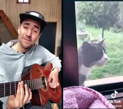 Duet