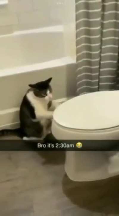 2:30 am ?