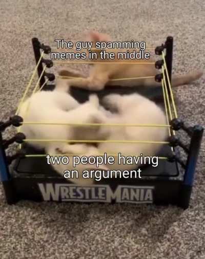 I associate as the guy spamming memes