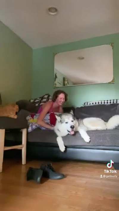 Aggressive cuddling. It’s a thing?