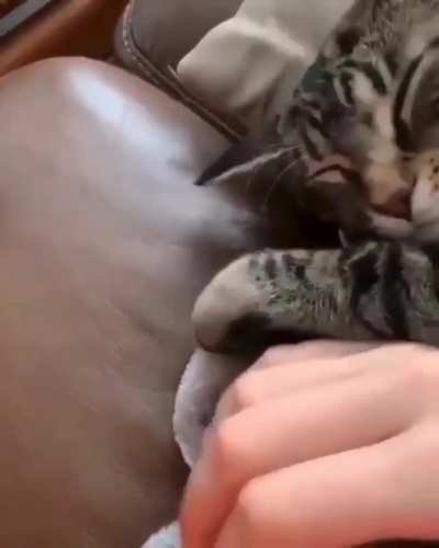 Sleepy hugs