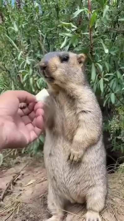 Take that thing away from me