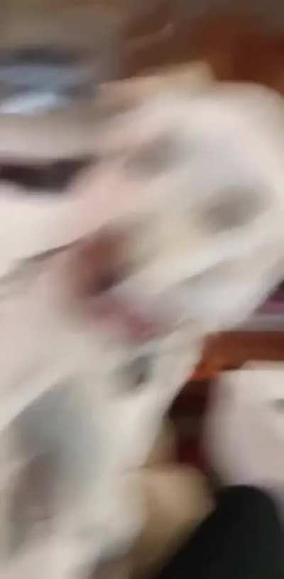 She demand pets she get pets ?