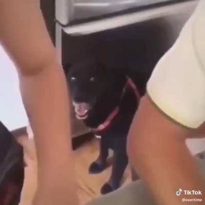 ???