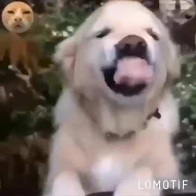 Your heart will melt from these smiles...