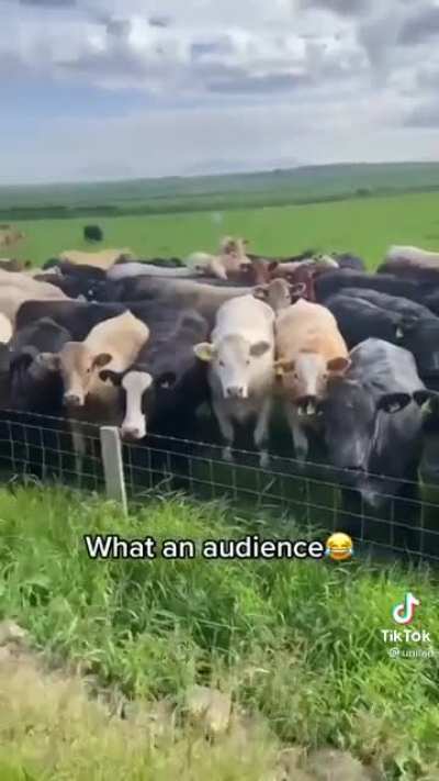 Performing for all her Fans ??
