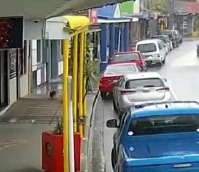 WCGW if I secure my dog to a movable advertising flag