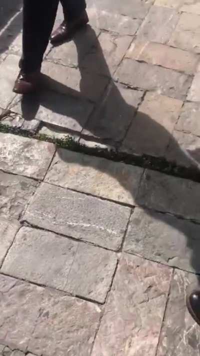 7.5-magnitude earthquake in Oaxaca, Mexico today.