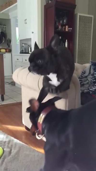 You can see the regret in his eyes. ?