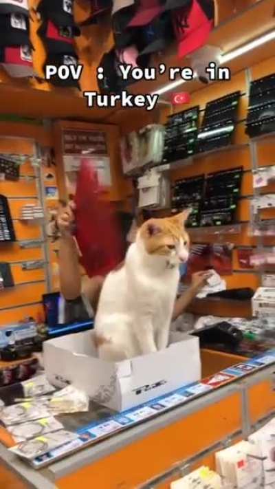 store manager