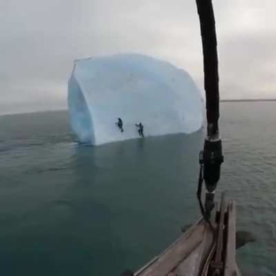 WCGW climbing on an iceberg
