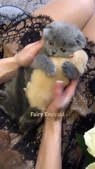 That wholesome hug! ?