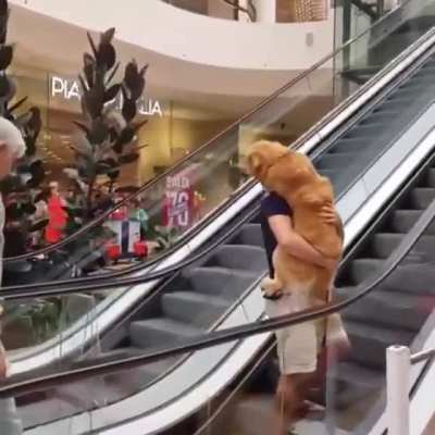 "Daddy carry me with you"