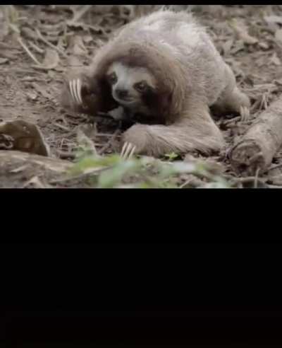 Actual footage of my kids getting ready for school in the morning