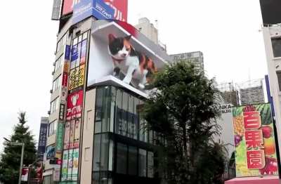 Tokyo's 3D 4K Display test run