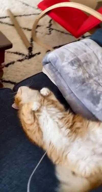 Does This Count