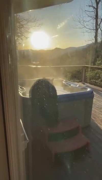 This guy encountered a bear in Great Smoky Mountains, Tennessee
