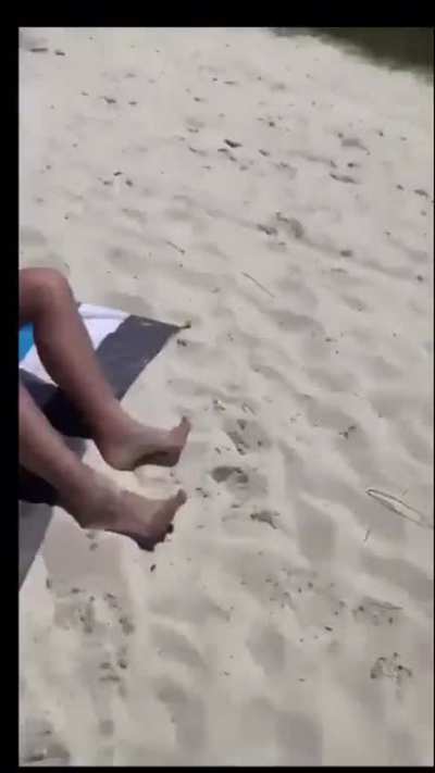 To sunbathe peacefully.