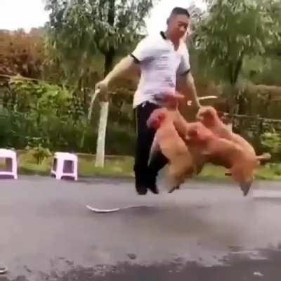 Skipping a rope has never been this fun before ?