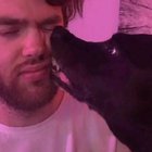Dog be eatting ?