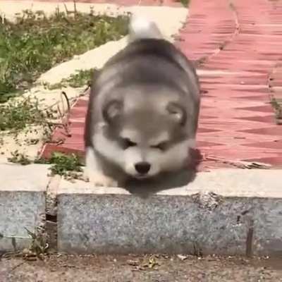 Oh no