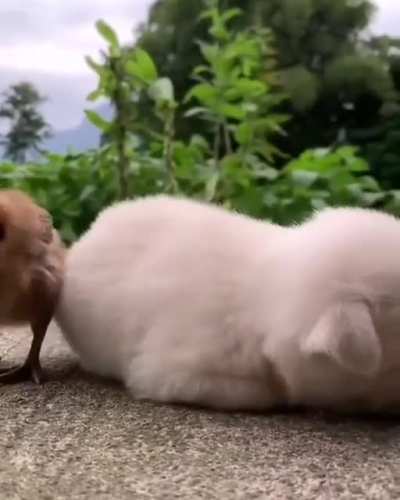 Its me just every morning ?