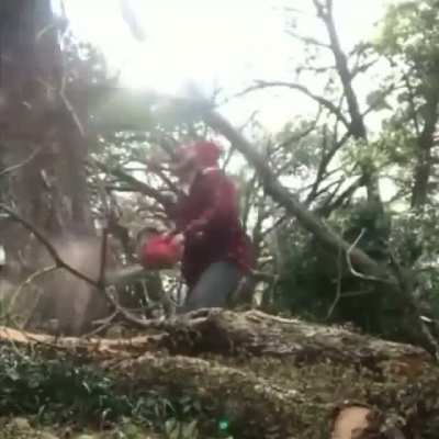 Maybe maybe maybe