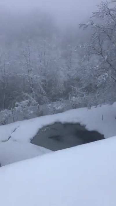 It snowed really heavy in my city last night!