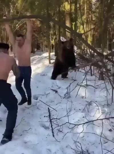 Russian men working out with a bear