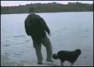 Poor Dog Still Go After Him