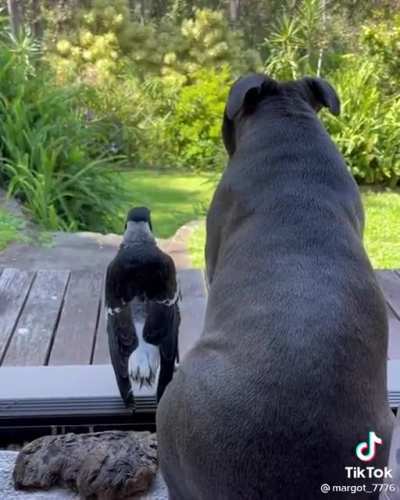 What are we looking at?