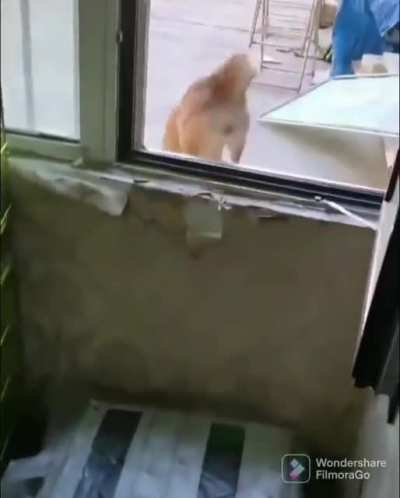 to get out first