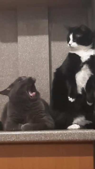 "Nope. Wasn't me."