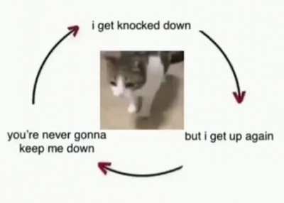 a cute meme i found