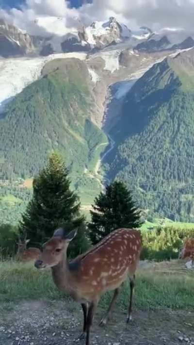 ? The French Alps