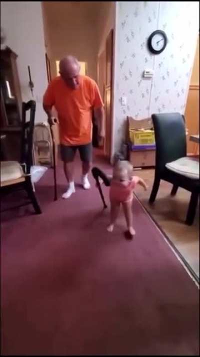 Baby imitates her grandpa’s walk with a cane, ??