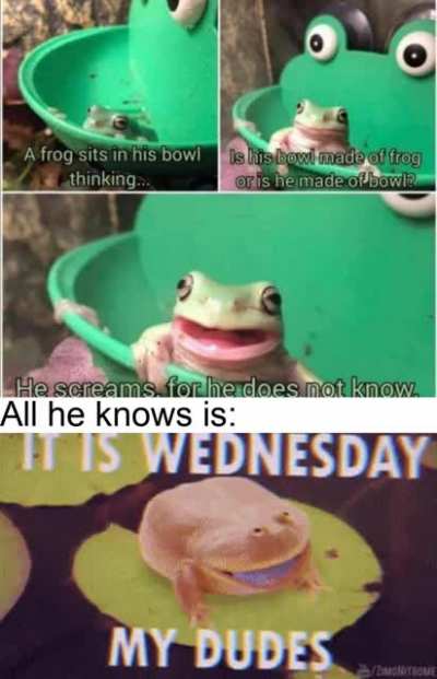 All he knows...