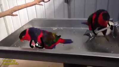 Maybe maybe maybe