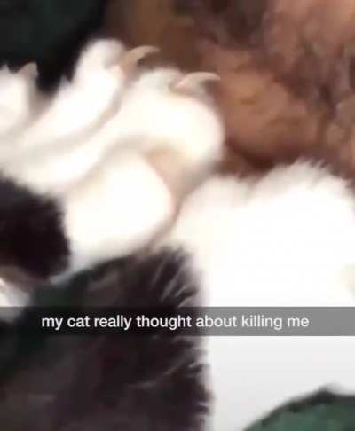 To kill or not to kill