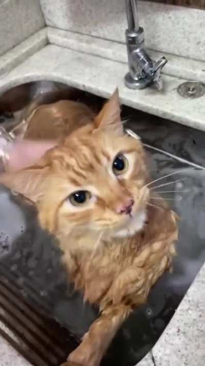 Huh..?