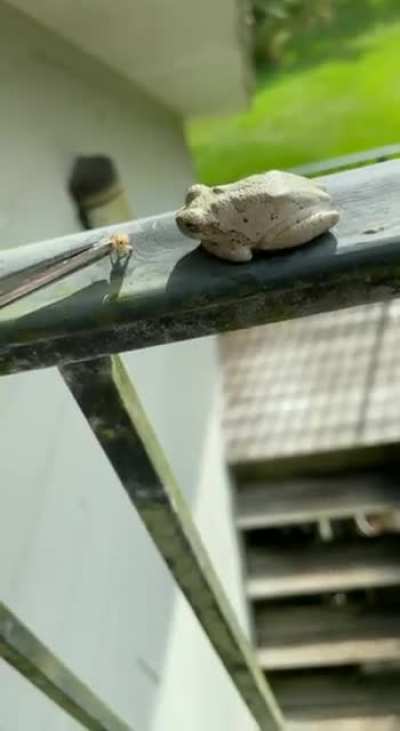 He screwed everything up ...