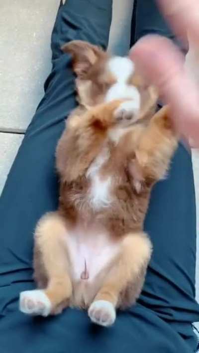 Wait for it...