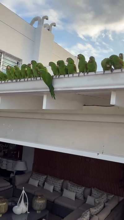 They are having a parameet ??