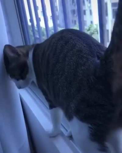 Can you do that?