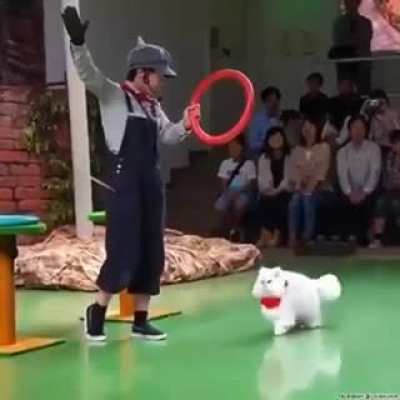 ?