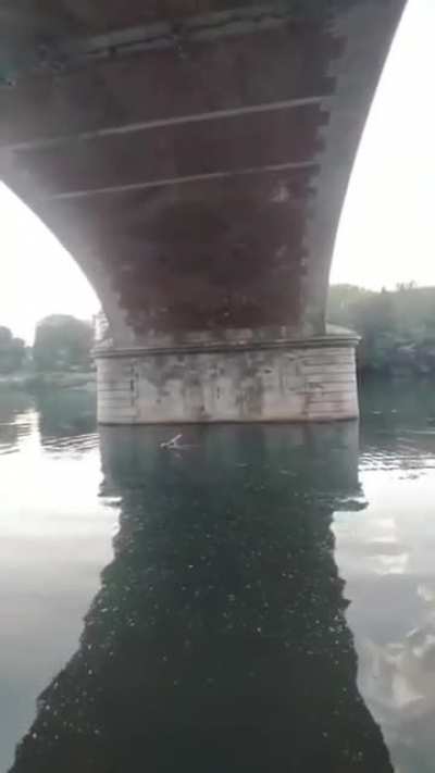 Under a bridge in Turin Italy, saxophonist Frankye Laforgue performs "In a Sentimental Mood"