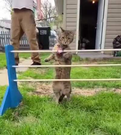 To jump over