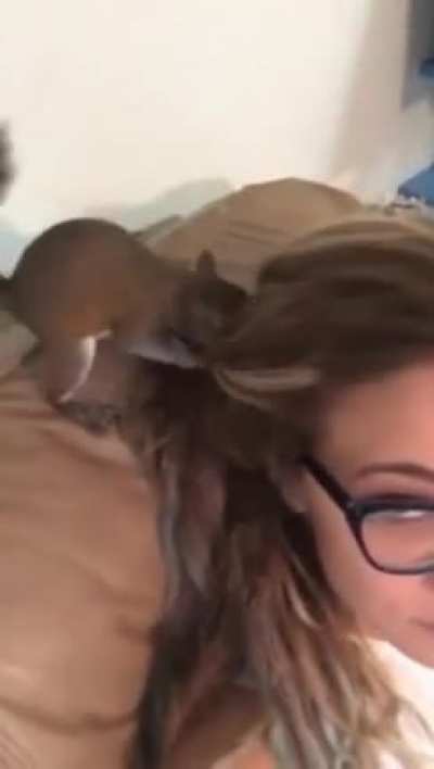 Hiding Cheeto in Her Hair
