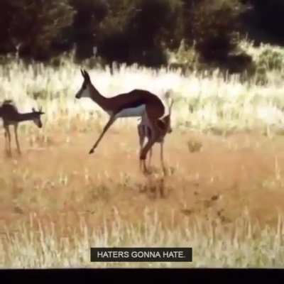 Hovering