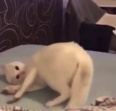 When the third gummy hits